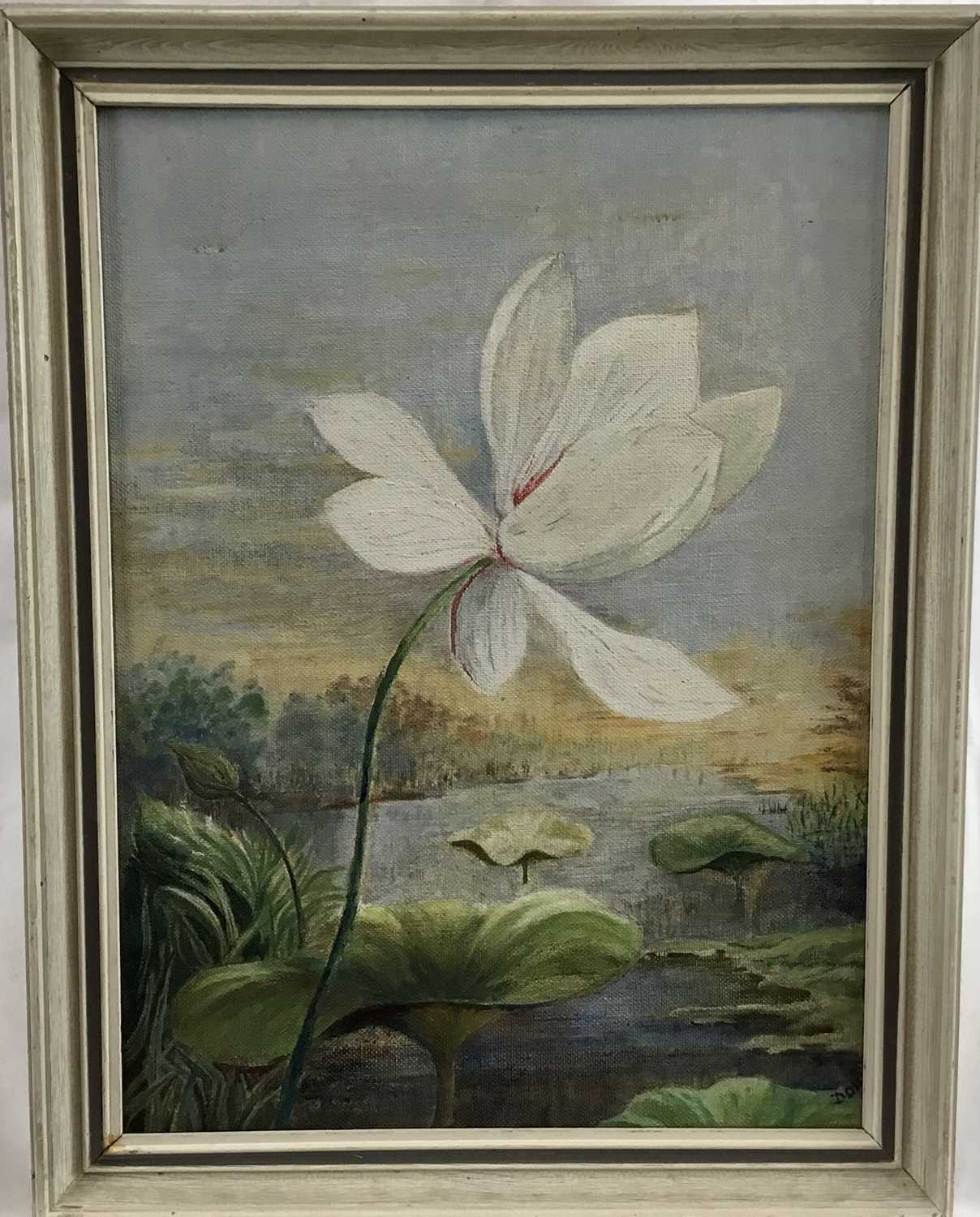 Lot 51 - English School 20th century oil on canvas - waterlily in landscape, signed indistinctly lower right, 30cm x 40cm, framed
