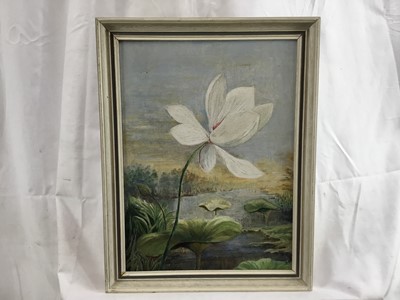 Lot 51 - English School 20th century oil on canvas - waterlily in landscape, signed indistinctly lower right, 30cm x 40cm, framed