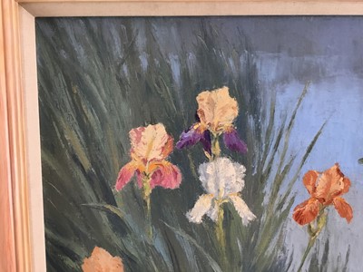 Lot 60 - A. V. Coverley-Price (1901-1948) oil on canvas - 'Irises', signed and dated 1948, 55cm x 65cm, framed