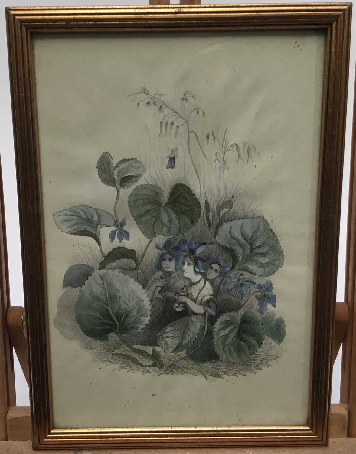 Lot 181 - Unusual set of four pencil and watercolour pictures of flower fairies, probably Edwardian, framed