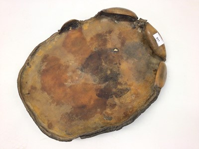 Lot 917 - Late 19th/ early 20th century elephant foot tray bearing plaque for Rowland Ward, Piccadilly, 45cm x 35cm