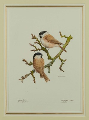 Lot 1115 - Benjamin Perkins (b.1932) watercolour - Marsh Tit, Chadacre Estate, Suffolk, signed and inscribed, 39cm x 28cm, in glazed gilt frame