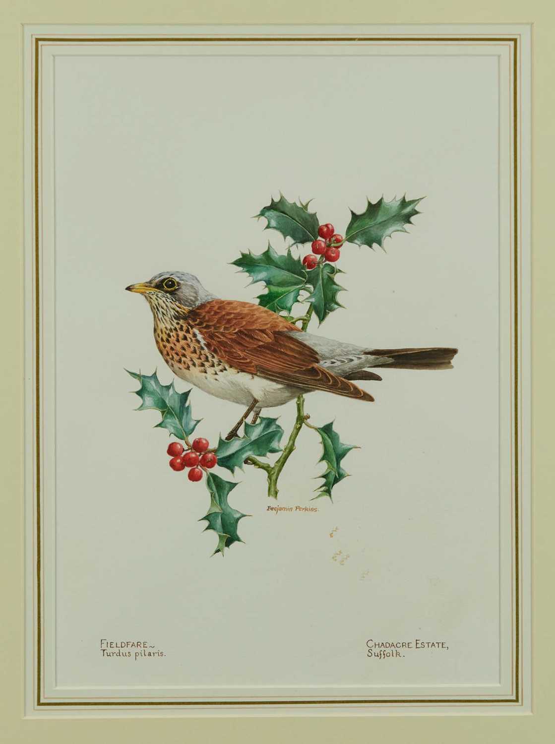 Lot 1113 - Benjamin Perkins (b.1932) watercolour - Fieldfare, Chadacre Estate, Suffolk, signed and inscribed, 39cm x 28cm, in glazed gilt frame