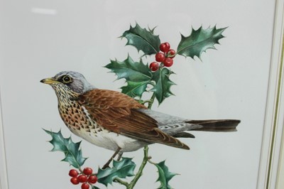 Lot 1113 - Benjamin Perkins (b.1932) watercolour - Fieldfare, Chadacre Estate, Suffolk, signed and inscribed, 39cm x 28cm, in glazed gilt frame