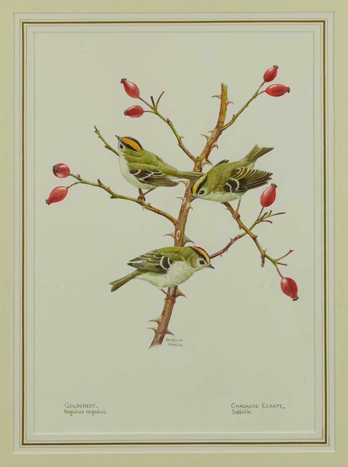 Lot 1112 - Benjamin Perkins (b.1932) watercolour - Goldcrest, Chadacre Estate, Suffolk, signed and inscribed, 39cm x 28cm, in glazed gilt frame