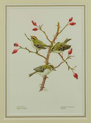 Lot 1112 - Benjamin Perkins (b.1932) watercolour - Goldcrest, Chadacre Estate, Suffolk, signed and inscribed, 39cm x 28cm, in glazed gilt frame