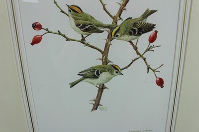 Lot 1112 - Benjamin Perkins (b.1932) watercolour - Goldcrest, Chadacre Estate, Suffolk, signed and inscribed, 39cm x 28cm, in glazed gilt frame