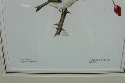 Lot 1112 - Benjamin Perkins (b.1932) watercolour - Goldcrest, Chadacre Estate, Suffolk, signed and inscribed, 39cm x 28cm, in glazed gilt frame