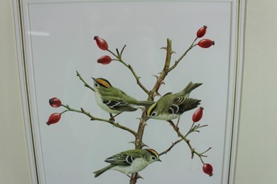 Lot 1112 - Benjamin Perkins (b.1932) watercolour - Goldcrest, Chadacre Estate, Suffolk, signed and inscribed, 39cm x 28cm, in glazed gilt frame