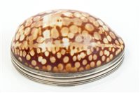 Lot 398 - George III Silverer mounted cowrie shell snuff...