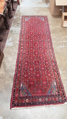 Lot 1347 - Eastern red runner