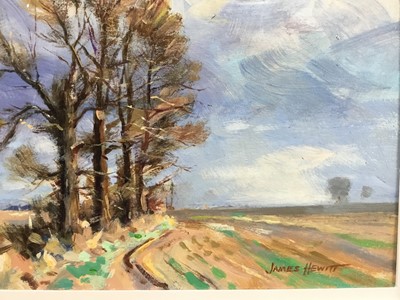 Lot 8 - James Hewitt (b. 1934) oil on card - 'The Last of the Elms', signed, titled and inscribed verso 'framed 2015', 32cm x 24.5cm, in painted wooden frame.