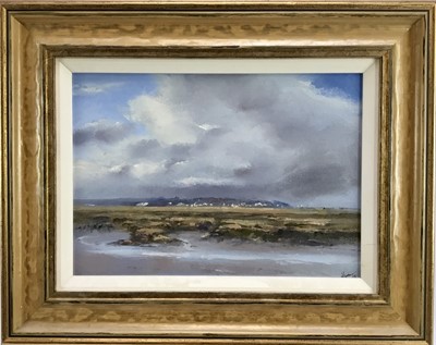 Lot 9 - James Hewitt (b.1934) oil on canvas - 'Mersea Island across Old Hall Marsh, Mid-Afternoon', signed and dated '08, inscribed verso with title and dated '12 April 2008', 36cm x 26cm in painted and gi...
