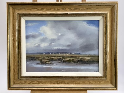 Lot 9 - James Hewitt (b.1934) oil on canvas - 'Mersea Island across Old Hall Marsh, Mid-Afternoon', signed and dated '08, inscribed verso with title and dated '12 April 2008', 36cm x 26cm in painted and gi...