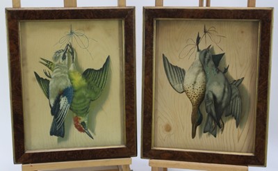 Lot 974 - Pair of 19th century French embossed lithographs - Dead Birds, 34cm x 26cm, in glazed frames