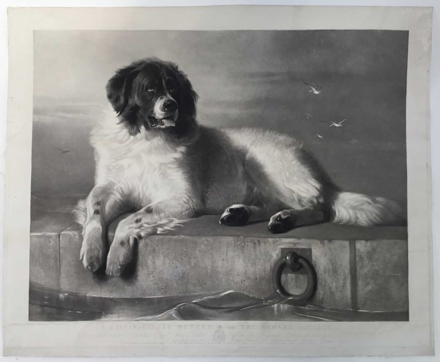 Lot 41 - Thomas Landseer, after Edwin Landseer, mid 19th century black and white engraving - A Distinguished Member of the Humane Society, published 1853 by Thomas Boys, 58cm x 70cm