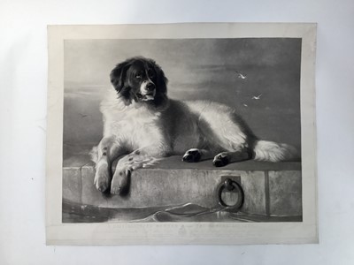 Lot 41 - Thomas Landseer, after Edwin Landseer, mid 19th century black and white engraving - A Distinguished Member of the Humane Society, published 1853 by Thomas Boys, 58cm x 70cm