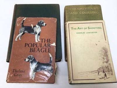 Lot 947 - Four sporting books to include: The Greyhound And Coursing, signed by the author Adair Dighton, A History of Fowling, The Art Of Shooting and The Popular Beagle