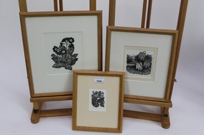 Lot 1042 - Yvonne Skargon (b.1931) three signed limited edition woodcuts - Fritillaries, 7/30, Langwort, 7/50 and Primulars, 22/50, each in glazed frame