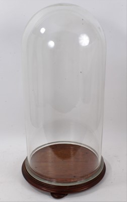 Lot 783 - Large glass dome on turned wooden base