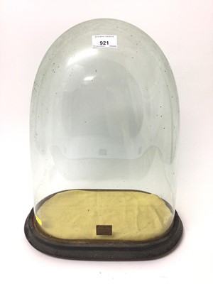 Lot 921 - Victorian glass dome on ebonized plinth bearing label for W. N. Carter, Colchester, 42cm high