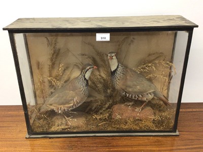 Lot 910 - Pair of Partridges within naturalistic setting in glazed case, 3cm x 53cm