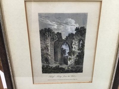 Lot 99 - 'A Snake in the Grass', coloured engraving by Smith after Joshua Reynolds, pub. September 24th 1787, together with a small engraving of Furness Abbey