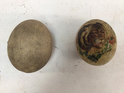 Lot 2555 - Ostrich egg and another