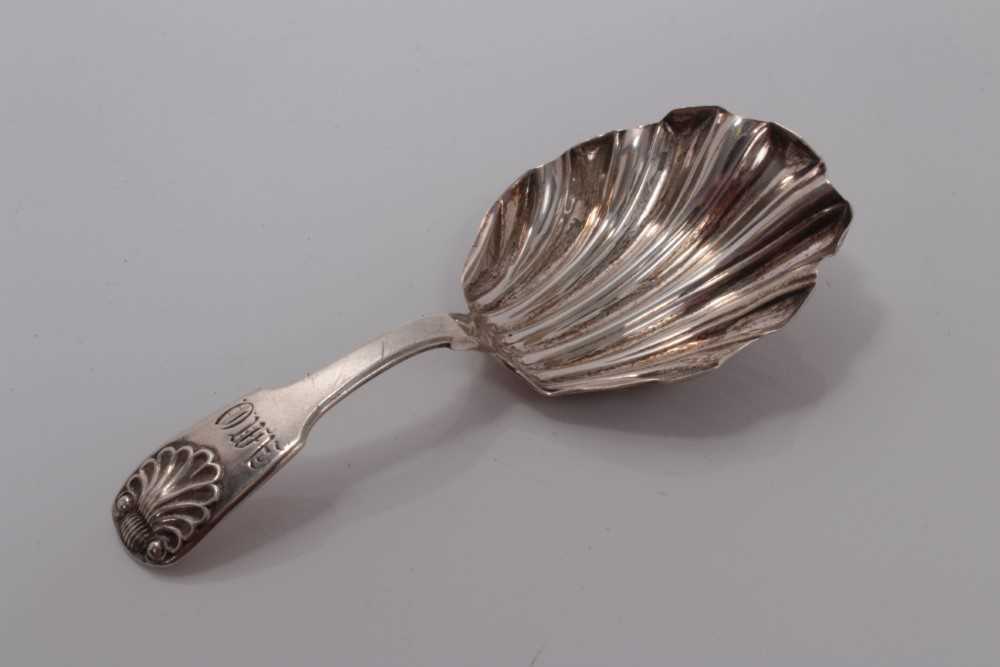 Lot 67 - William IV silver caddy spoon with shell bowl and shell and fiddle pattern handle - Newcastle 1821, maker John Walton 10cm