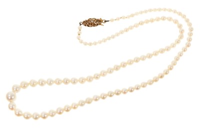 Lot 423 - Cultured pearl necklace with a string of graduated cultured pearls on gold clasp