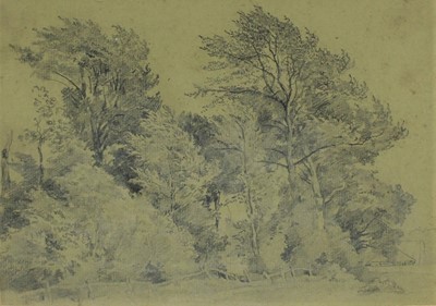 Lot 939 - English School, 19th century, pencil study - Trees, in glazed gilt frame, 13.5cm x 18.5cm. Provenance: Olivers, Sudbury, 26th June 1979. The Norman Baker Collection