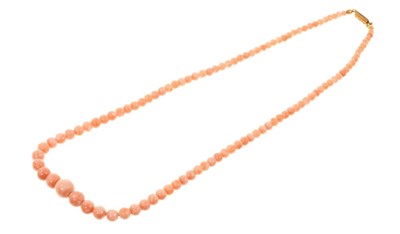 Lot 461 - Victorian coral bead necklace with original gold clasp, tests as 15ct.