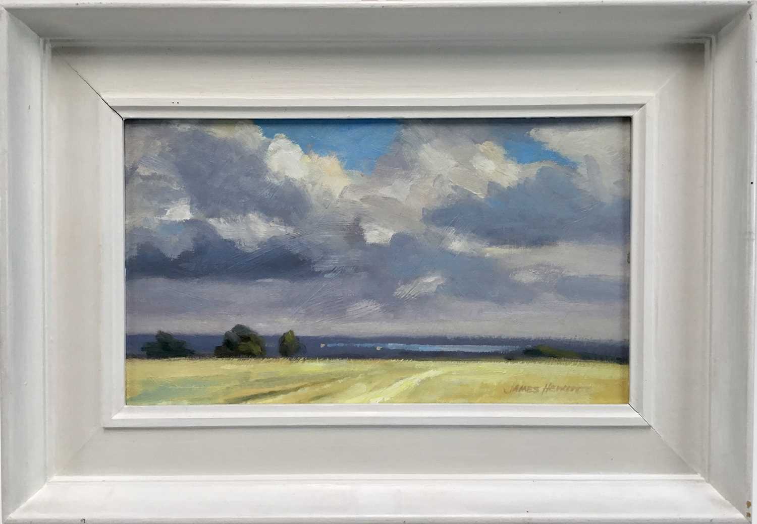 Lot 10 - James Hewitt (b. 1934) oil on card - 'The Blackwater in Summer', signed, titled verso, 35cm x 20cm, in painted wooden frame