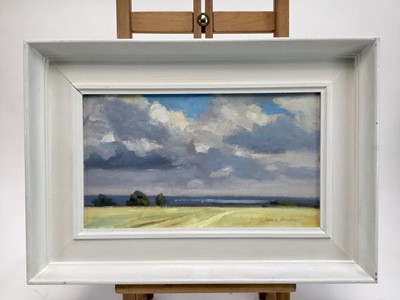 Lot 10 - James Hewitt (b. 1934) oil on card - 'The Blackwater in Summer', signed, titled verso, 35cm x 20cm, in painted wooden frame