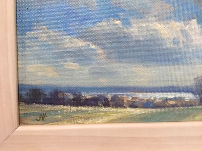 Lot 12 - James Hewitt (b. 1934) oil on canvas - early spring landscape, 'The Distant Blackwater', monogrammed, titled and dated verso 2004, 18cm x 12cm, framed (26cm x 20cm overall)