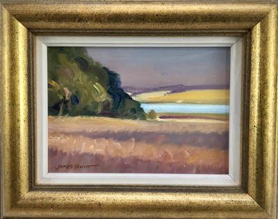 Lot 13 - James Hewitt (b. 1934) oil on card - ‘August Fields and River’, signed, 2005, framed