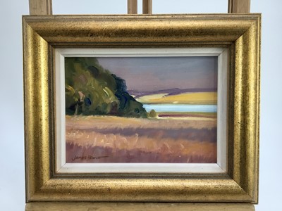 Lot 13 - James Hewitt (b. 1934) oil on card - ‘August Fields and River’, signed, 2005, framed
