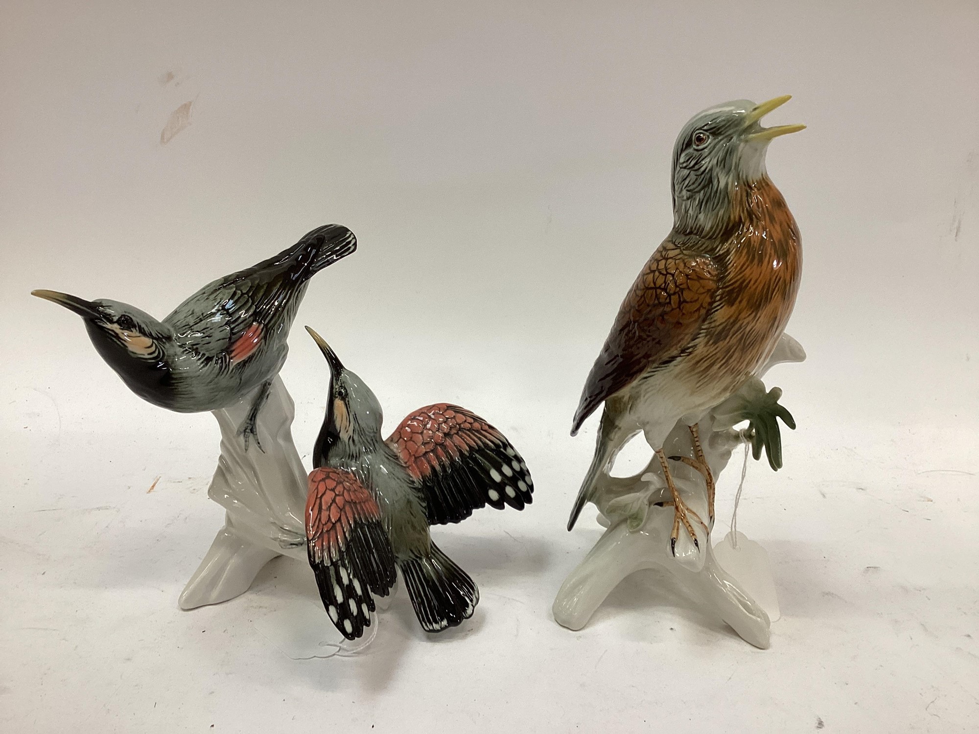 Lot 1094 - Four impressive Karl Ens porcelain bird