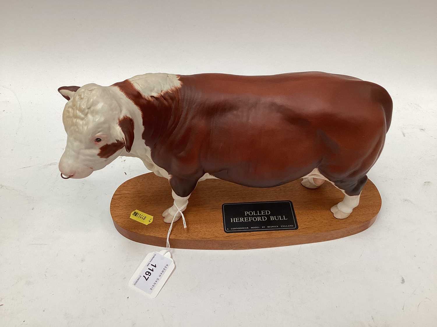 Lot 1167 - Beswick Connoisseur Model- Polled Hereford