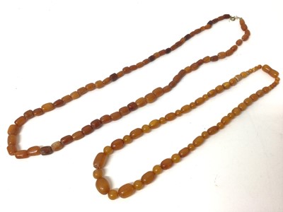 Lot 105 - Two amber bead necklaces, 56cm and 77cm long