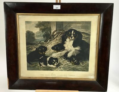 Lot 187 - Stephen Taylor, 19th century coloured print - 'The Real King Charles's Fancy', 37cm x 45cm, in glazed rosewood frame