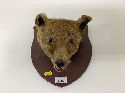 Lot 39 - Taxidermy fox head mounted on a shield, together with an old pair of leather clogs