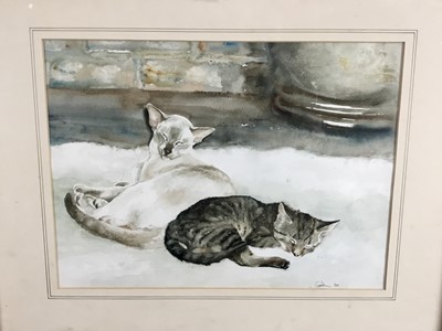 Lot 161 - Gillian Carolan, watercolour, Siamese and a Tabby cat