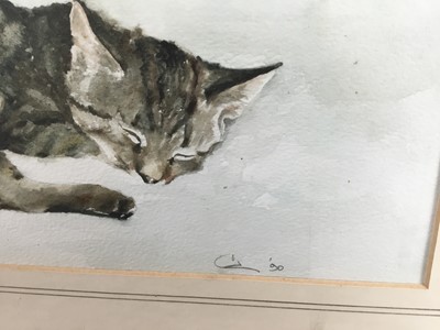 Lot 161 - Gillian Carolan, watercolour, Siamese and a Tabby cat