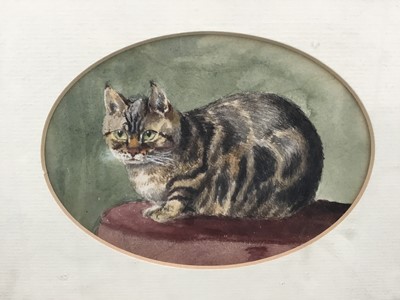 Lot 152 - Lucy Hargreaves, watercolour painting of a tabby cat