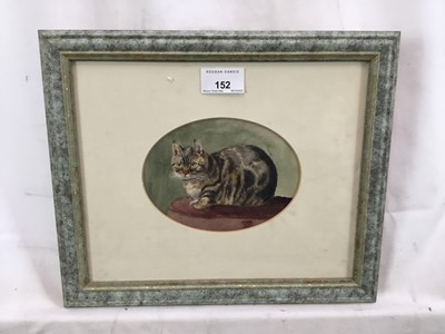 Lot 152 - Lucy Hargreaves, watercolour painting of a tabby cat