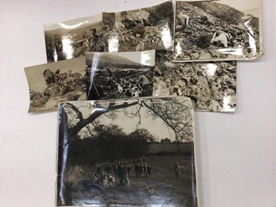 Lot 1494 - Otter hunting - Group of early 20th century black and white photographs of otters, otter hounds and huntsmen hunting.