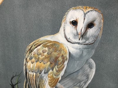 Lot 125 - Kenneth Smith, gouache - barn owl