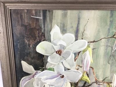 Lot 81 - Honor Sterndale-Bennett watercolour - Magnolias, signed, 65cm x 53cm in glazed frame