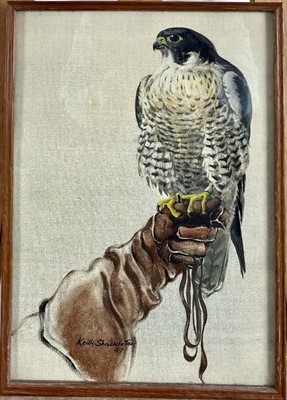 Lot 1173 - *Keith Shackleton (1923-2015) oil on board - A Hawk, signed and dated '47, 35cm x 25cm, in glazed frame